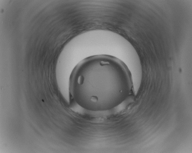 X0000075900080200610062128