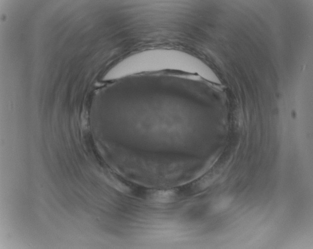 X0000075900081200610062128