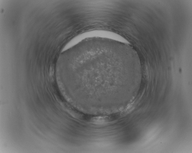 X0000075900082200610062128