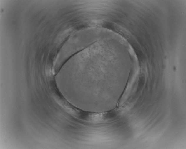 X0000075900084200610062128