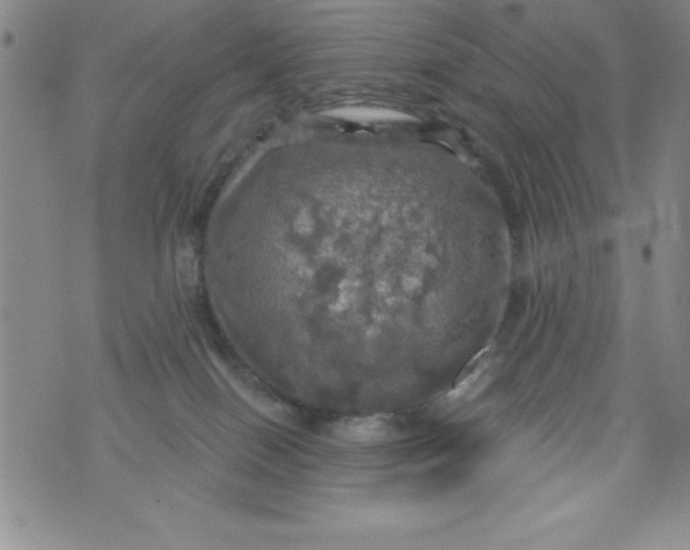 X0000075900086200610062128