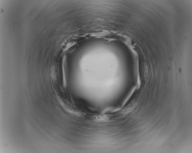 X0000075900088200610062128