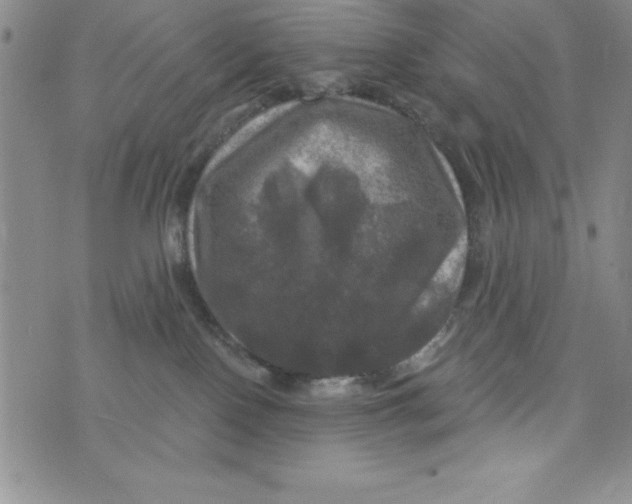 X0000075900090200610062128