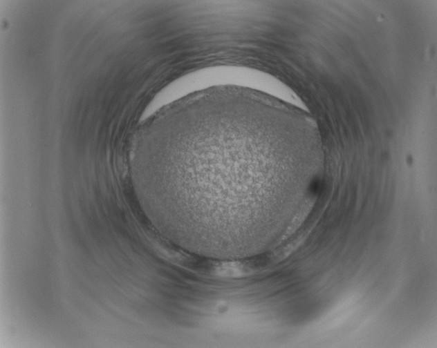 X0000075900091200610062128