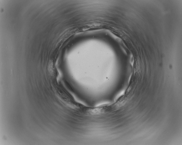 X0000075900092200610062128