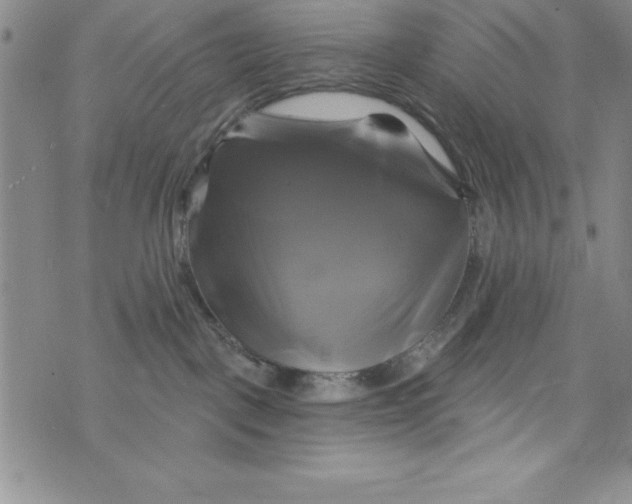 X0000075900093200610062128