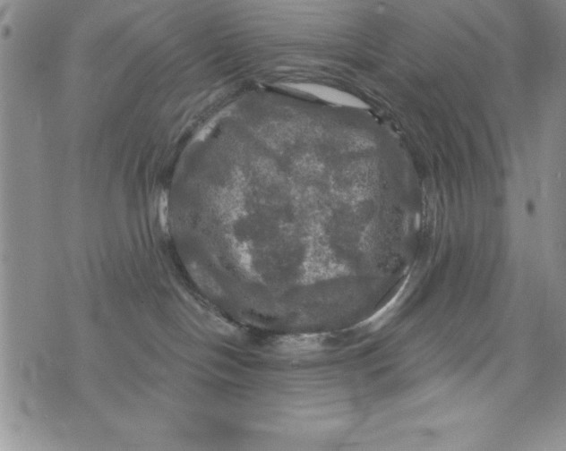 X0000075900094200610062128