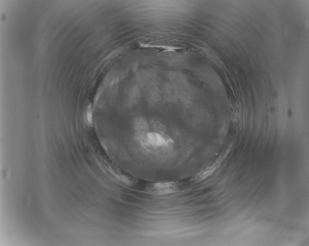 X0000075900095200610062128