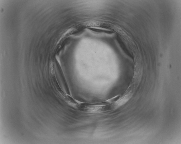 X0000075900096200610062128