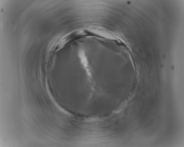 X0000075900097200610062128