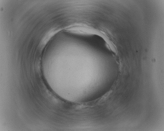 X0000075900098200610062128