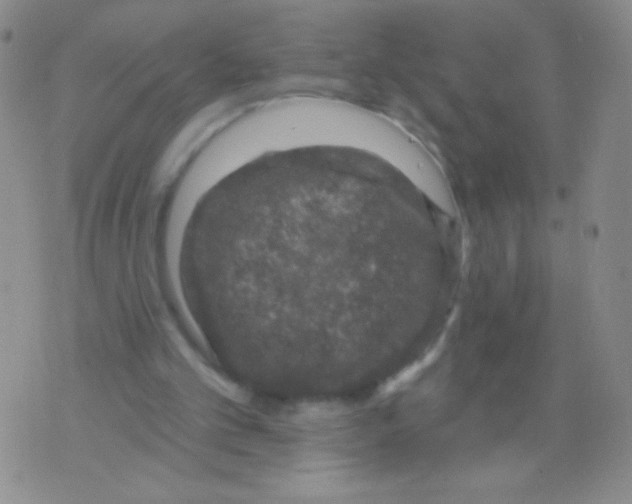 X0000075900101200610062128