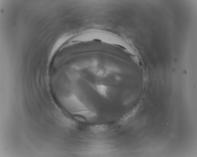 X0000075900102200610062128