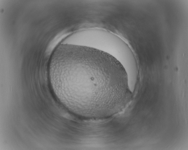 X0000075900103200610062128