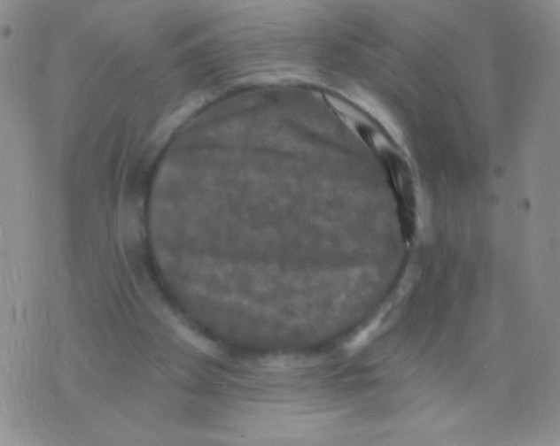 X0000075900105200610062128