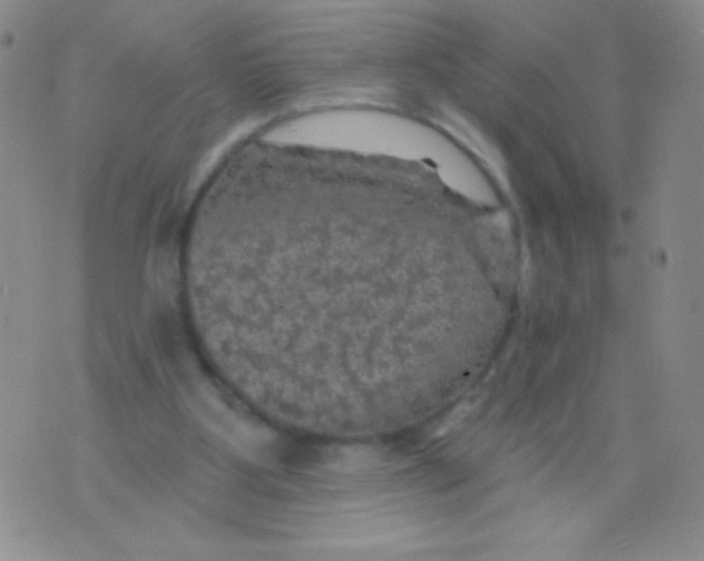 X0000075900107200610062128