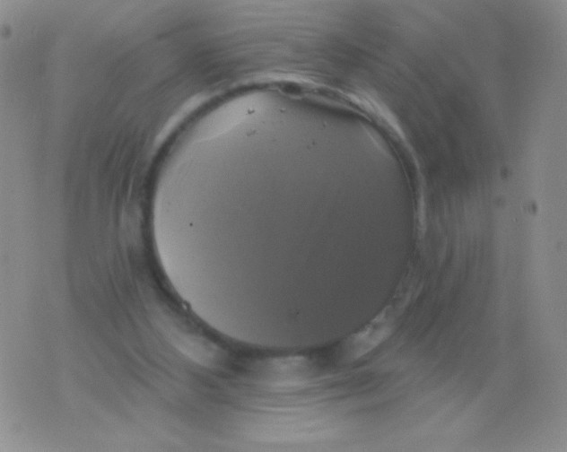 X0000075900108200610062128