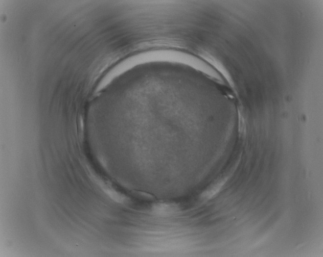 X0000075900109200610062127