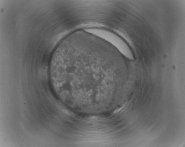 X0000075900111200610062127