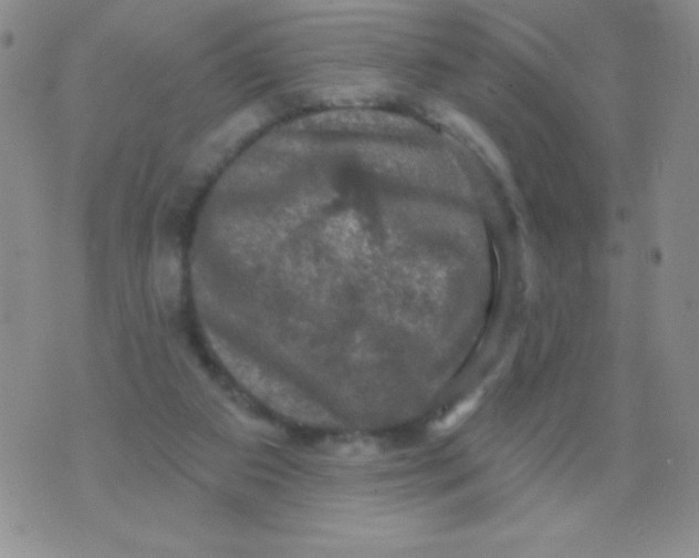 X0000075900113200610062127