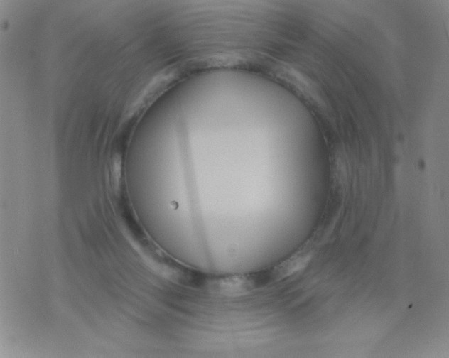 X0000075900118200610062127