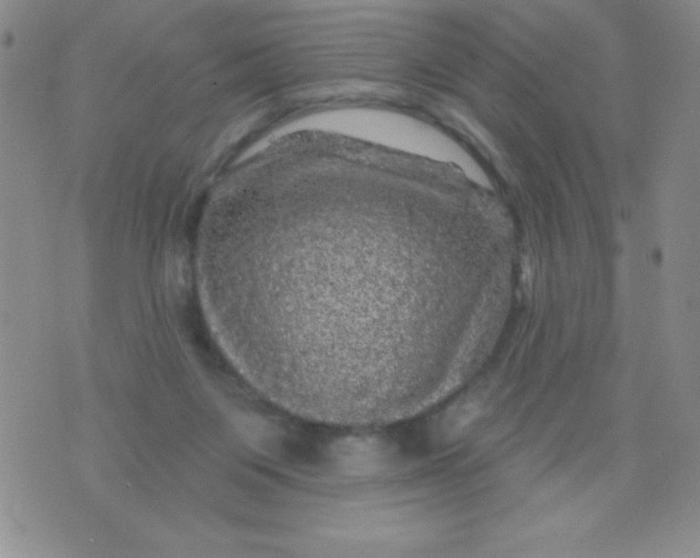 X0000075900119200610062127