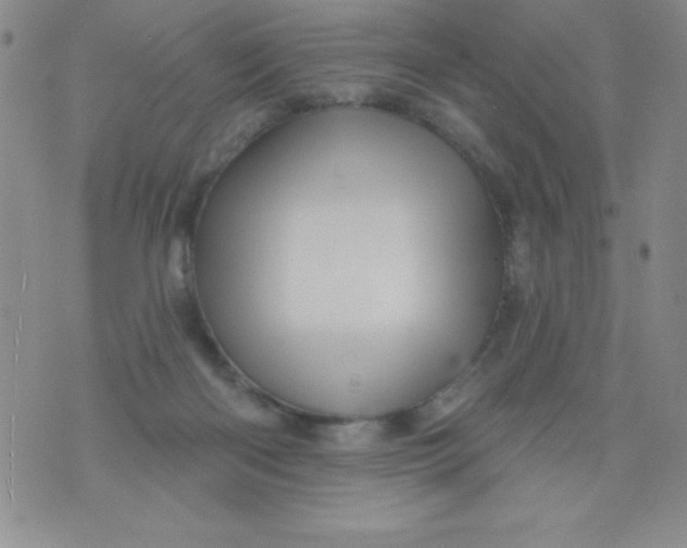 X0000075900122200610062127