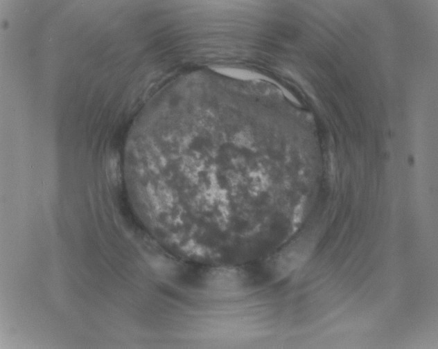 X0000075900123200610062127