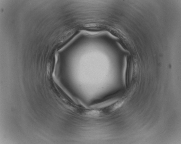 X0000075900125200610062127