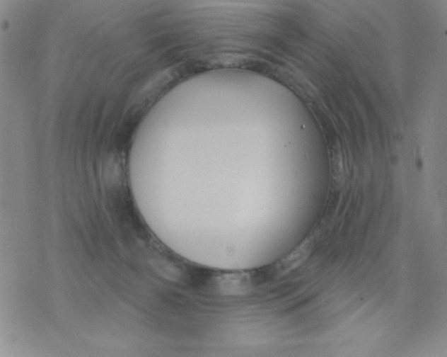 X0000075900126200610062127