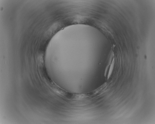 X0000075900127200610062127