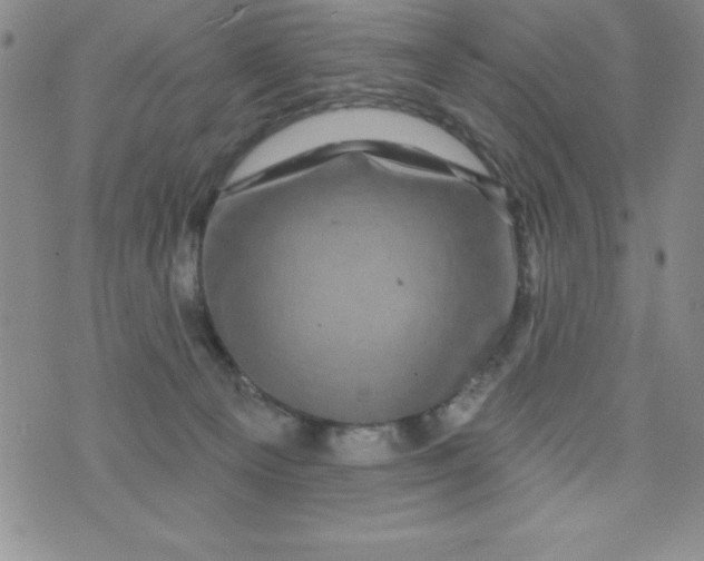 X0000075900129200610062127