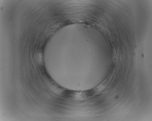 X0000075900130200610062127