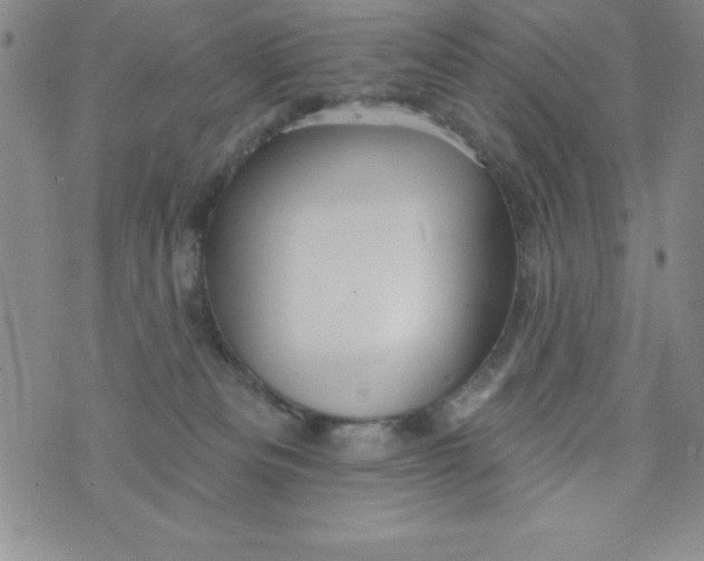 X0000075900133200610062127