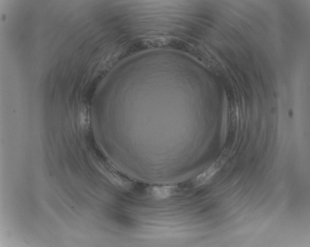 X0000075900134200610062127