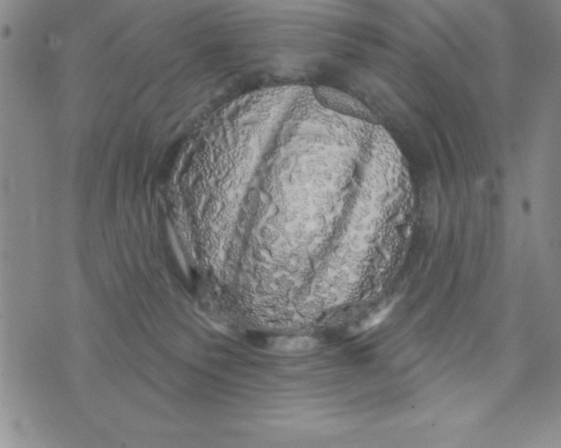 X0000075900135200610062127