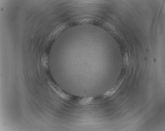 X0000075900138200610062127