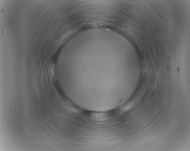 X0000075900139200610062127