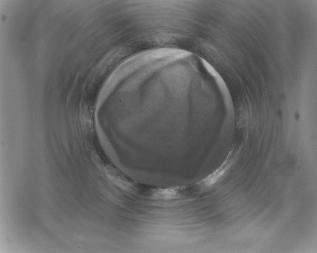 X0000075900140200610062127