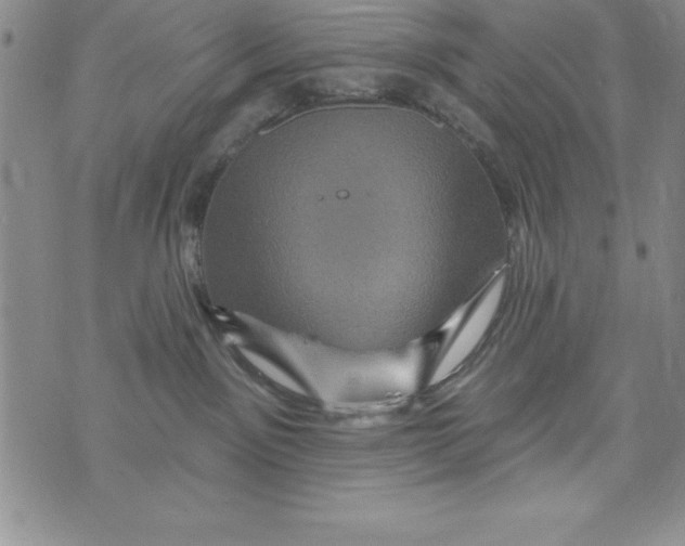 X0000075900141200610062127