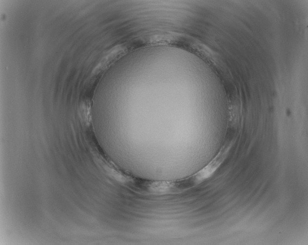 X0000075900142200610062127