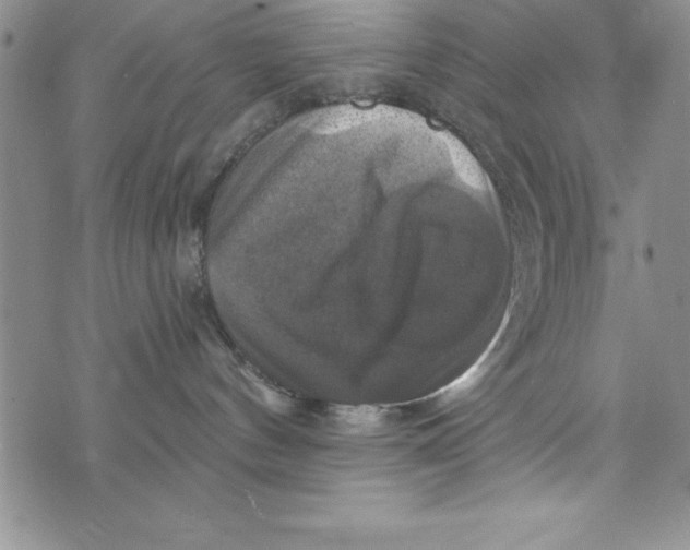 X0000075900144200610062127