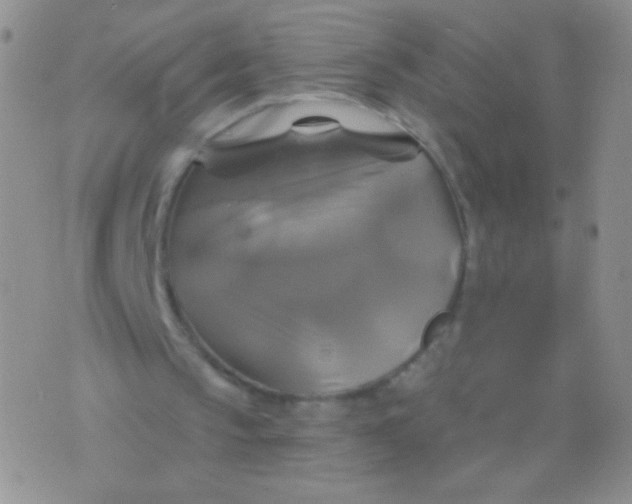 X0000075900145200610062126