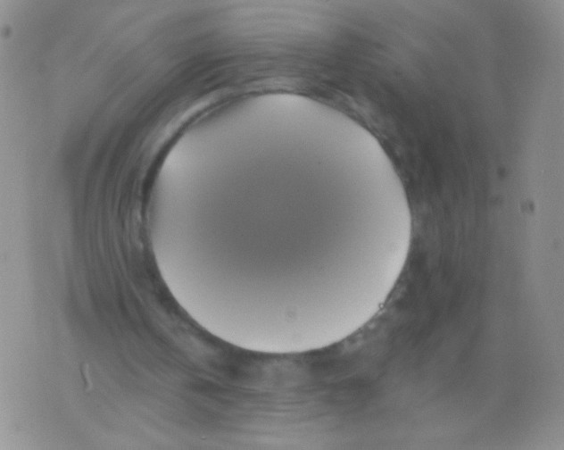 X0000075900146200610062126