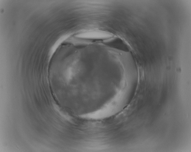 X0000075900147200610062126