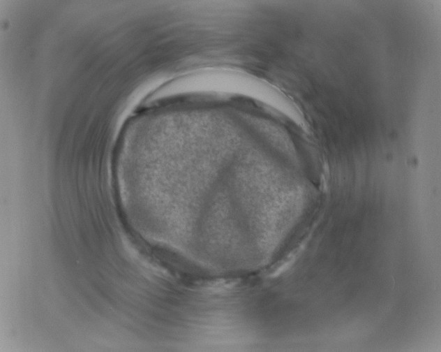 X0000075900148200610062126