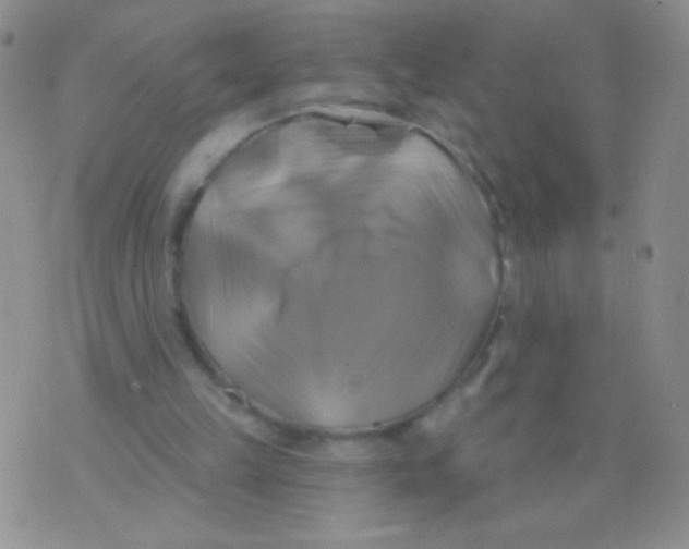 X0000075900149200610062126