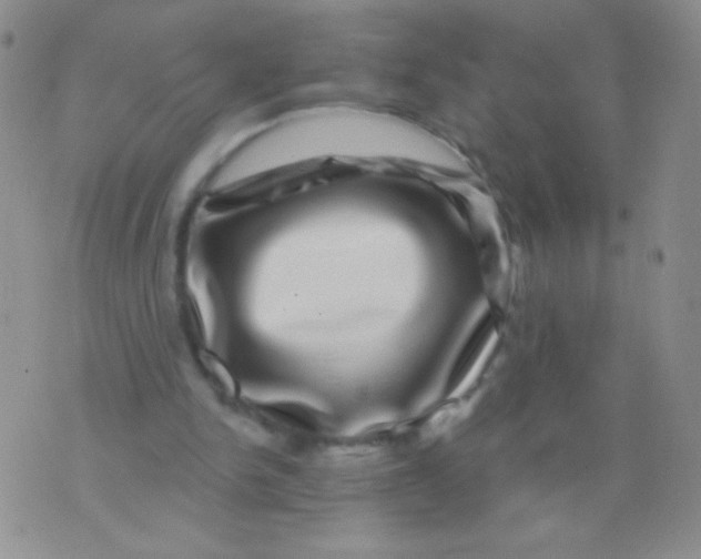 X0000075900150200610062126