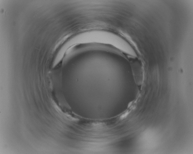 X0000075900154200610062126