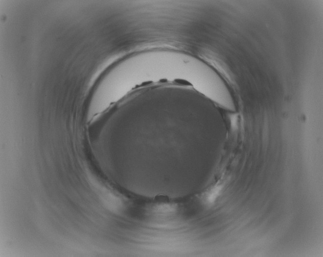 X0000075900156200610062126